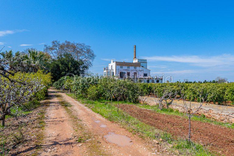 Masia en venta en Benifaió Valencia