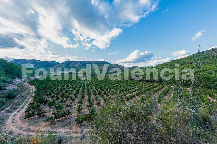 Finca de 13.5 hectáreas en Castellon